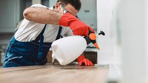 Best Residential Pest Control  in Horseshoe Bay, TX